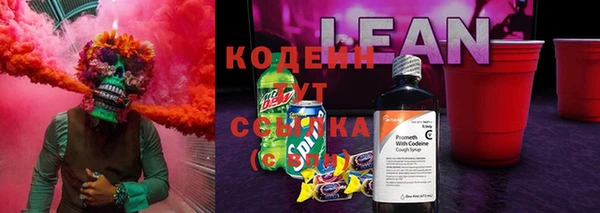 прущие грибы Алзамай